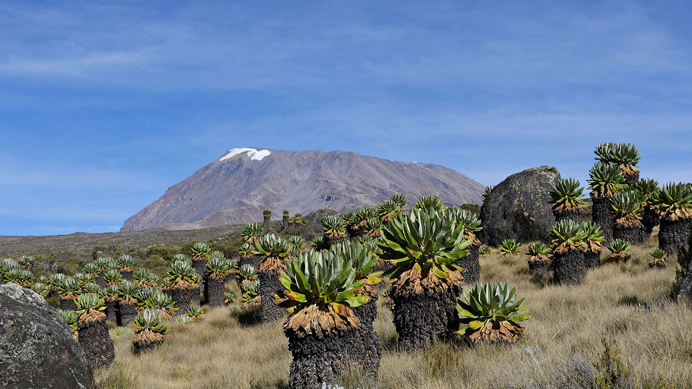 Kilimanjaro Climb