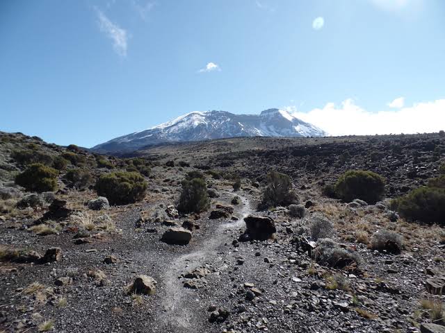 8 Days Rongai Route Kilimanjaro Climb